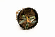 Bucephalandra Red Mini (Farmed) Aquatic Plant - Buce Plant