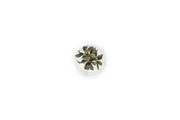 Bucephalandra Red Mini UNS Tissue Culture Aquatic Plant - Buce Plant