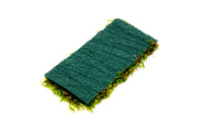Christmas Moss on Fiber Mat Aquatic Plant - Buce Plant