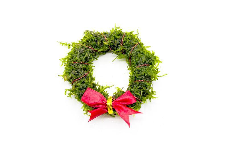 Aquatic Christmas Moss Wreath by ACW, lush green aquatic plant decorative wreath for aquariums.