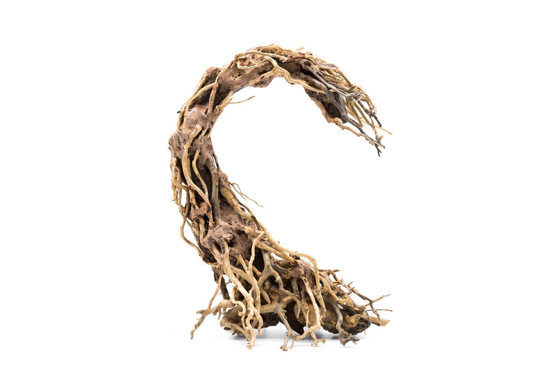 Crescent-shaped bonsai tree aquarium driftwood by UNSBONSAI, natural wood piece ideal for aquatic plant arrangements.