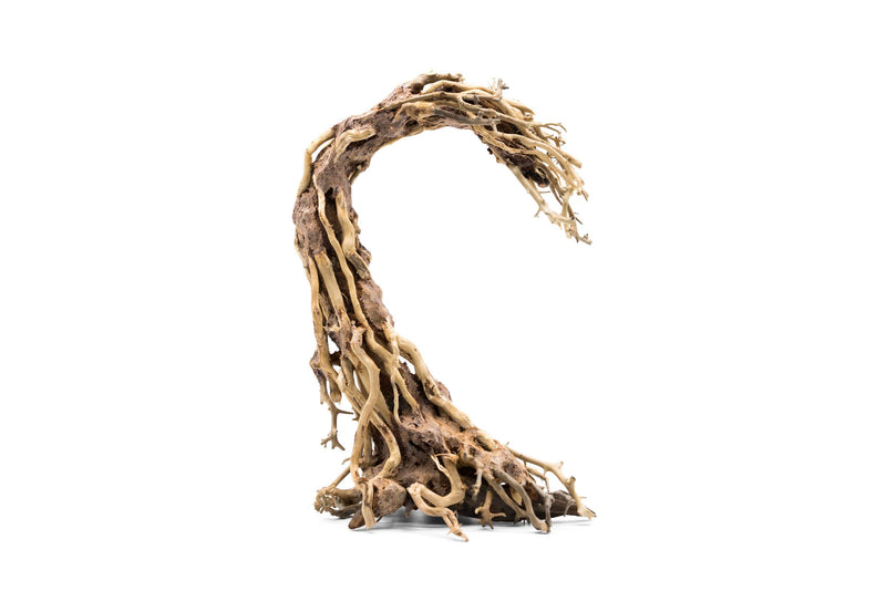Crescent-shaped bonsai tree aquarium driftwood by UNSBONSAI, showcasing natural, curved wood ideal for aquatic plant arrangements.