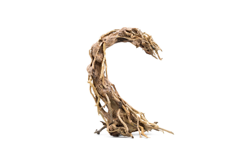 Crescent-shaped bonsai tree aquarium driftwood by UNSBONSAI, showcasing natural wood with a unique crescent form for aquatic decor.