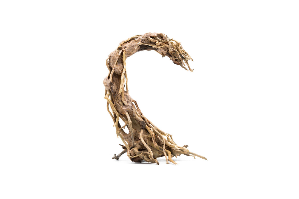 Crescent Shaped Bonsai Tree Aquarium Driftwood