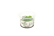 Didiplis Diandra Aquatic Farmer Tissue Culture Aquatic Plant - Buce Plant