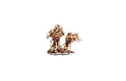 Extra small UNSBONSAI double bonsai tree aquarium driftwood showing intricate wood textures and natural branching details.