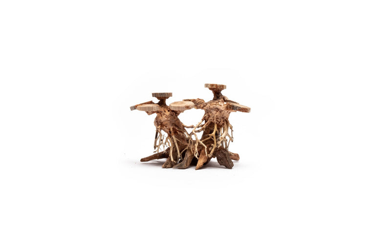 Small UNSBONSAI double bonsai tree aquarium driftwood showcasing intricate, natural wood shapes for aquatic decoration.
