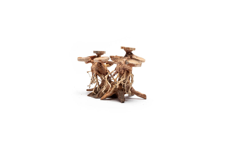 Extra small UNSBONSAI double bonsai tree aquarium driftwood showing intricate twisted branches and natural wood texture.
