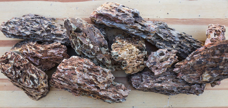 Dragon Stone (Ohko) Stone - Buce Plant
