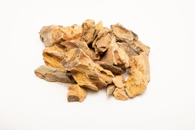 Dragon Stone (Ohko) Accent Stones Stone - Buce Plant