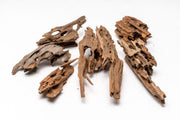 Dragon Wood Driftwood - Buce Plant