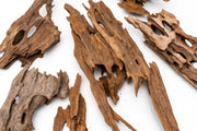 Dragon Wood Driftwood - Buce Plant