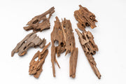 Dragon Wood Driftwood - Buce Plant