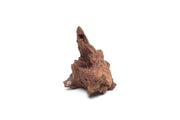 Small UNSBONSAI driftwood stump, extra extra small size, with natural textured wood for bonsai or decorative display.