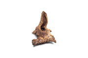 Small UNSBONSAI driftwood stump with natural, textured wood surface perfect for miniature plant arrangements or decorative displays.