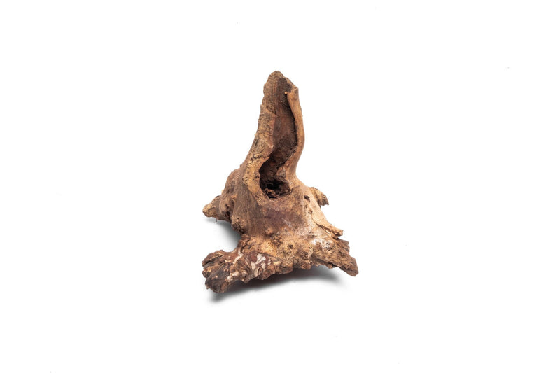 Small UNSBONSAI driftwood stump with natural, textured wood surface perfect for miniature plant arrangements or decorative displays.