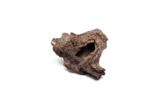 Small UNSBONSAI driftwood stump with natural, textured wood surface, ideal for bonsai or decorative displays.