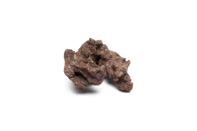 Small UNSBONSAI driftwood stump showing natural wood grain and textured surface for decorative or bonsai use.