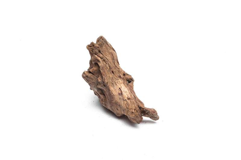 Small UNSBONSAI driftwood stump with natural, textured wood appearance, ideal for bonsai or decorative displays.