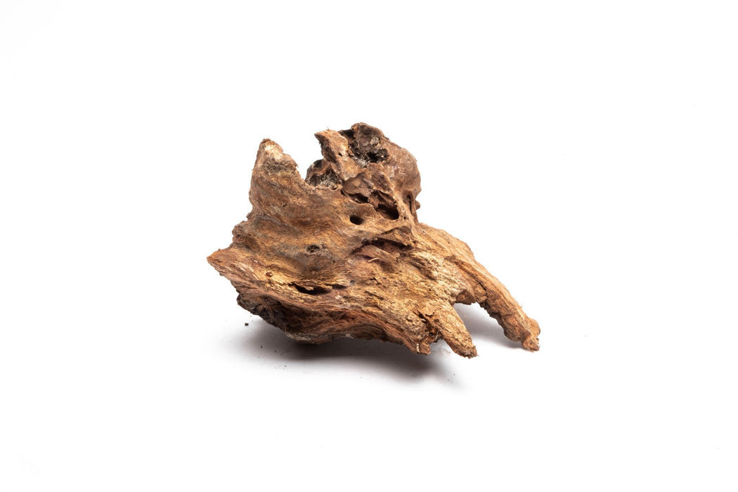 Driftwood Stump (Medium)