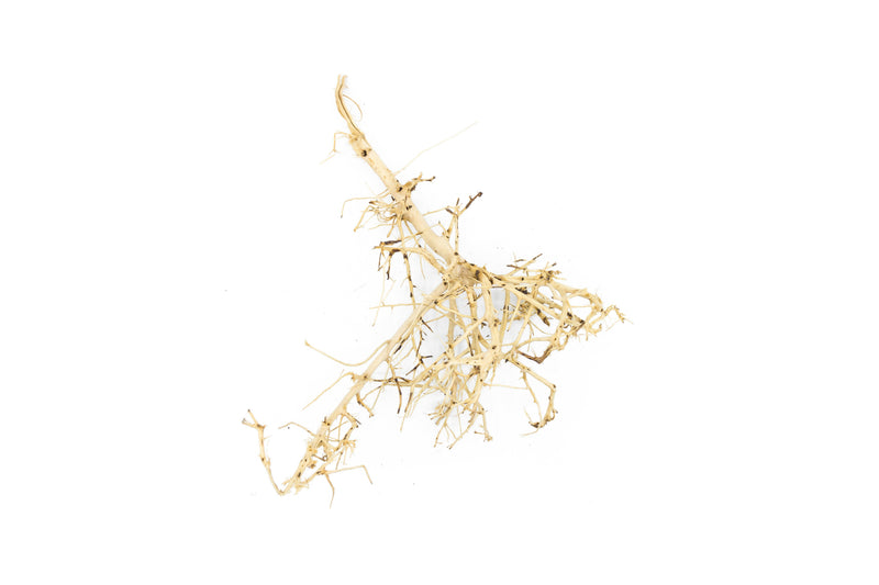 Natural driftwood tree branches from UNSHARDSCAPE, showcasing twisted, weathered wood ideal for rustic or coastal decor.