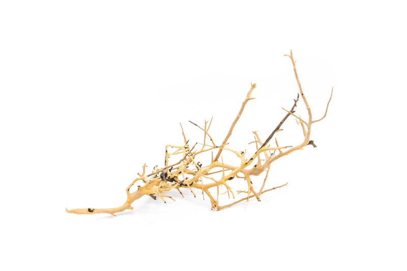Natural driftwood tree branches from UNSHARDSCAPE, showcasing twisted, weathered wood suitable for decorative or artistic displays.