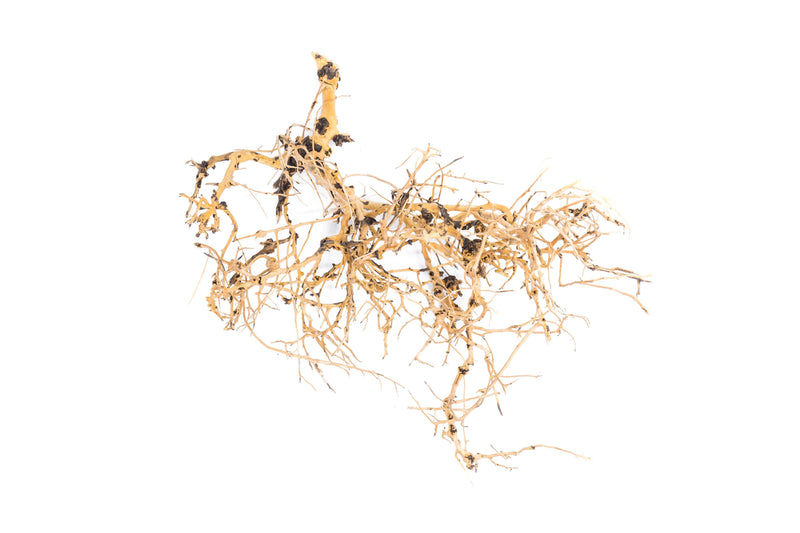 Natural driftwood tree branches from UNSHARDSCAPE arranged with twisted, weathered wood for decorative or craft purposes.
