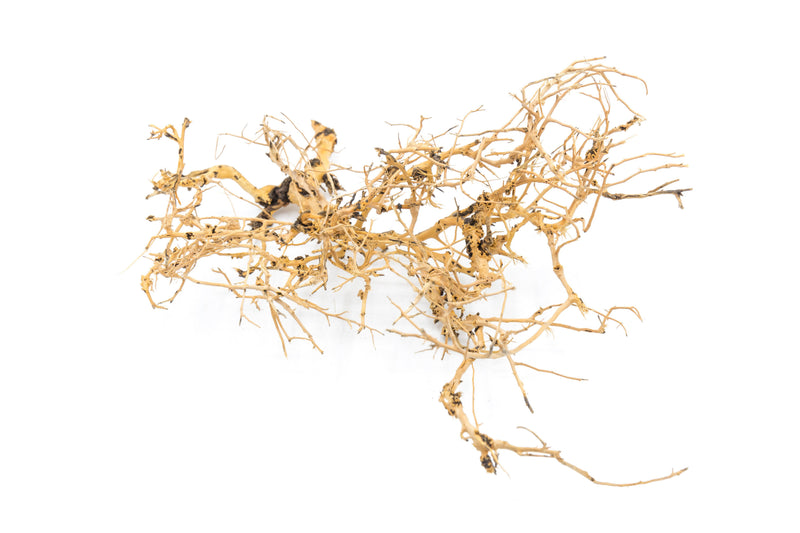 Natural driftwood tree branches from UNSHARDSCAPE, showcasing twisted, weathered wood with organic, rustic appearance.