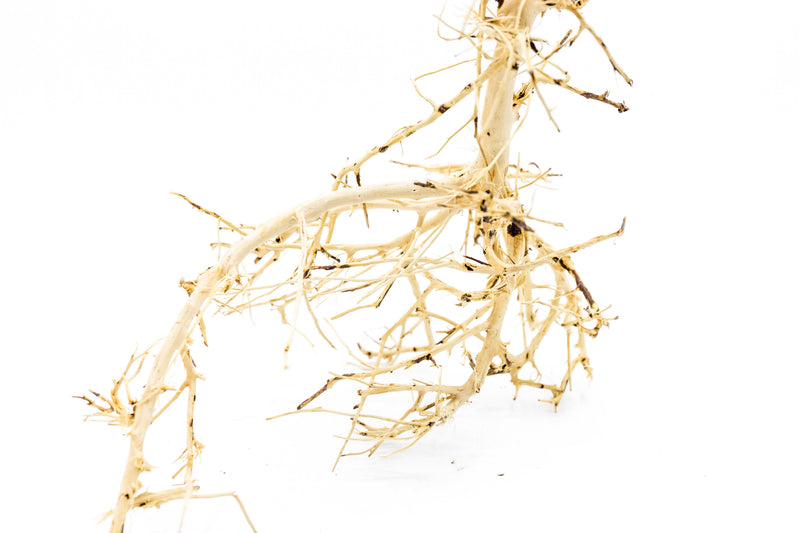 Natural driftwood tree branches from UNSHARDSCAPE, showing twisted, weathered wood pieces ideal for rustic decor or crafts.