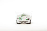 Drosera Rotundifolia Aquatic Farmer Tissue Culture Aquatic Plant - Buce Plant