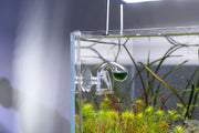 Dymax CO2 Drop Checker for aquarium CO2 monitoring, featuring clear display and easy-to-read color indicator.