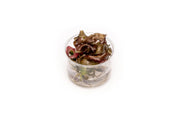Echinodorus Red Diamond UNS Tissue Culture Aquatic Plant - Buce Plant