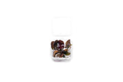 Echinodorus Reni UNS Tissue Culture Aquatic Plant - Buce Plant