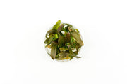Echinodorus Rose Tissue Culture Aquatic Plant - Buce Plant