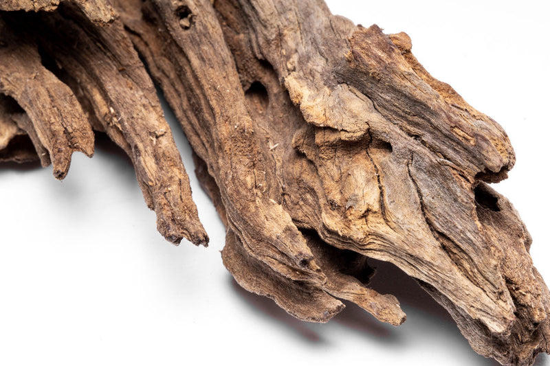 Small piece of natural forest driftwood by UNSBONSAI, showcasing weathered wood with organic, textured surface and natural shape.