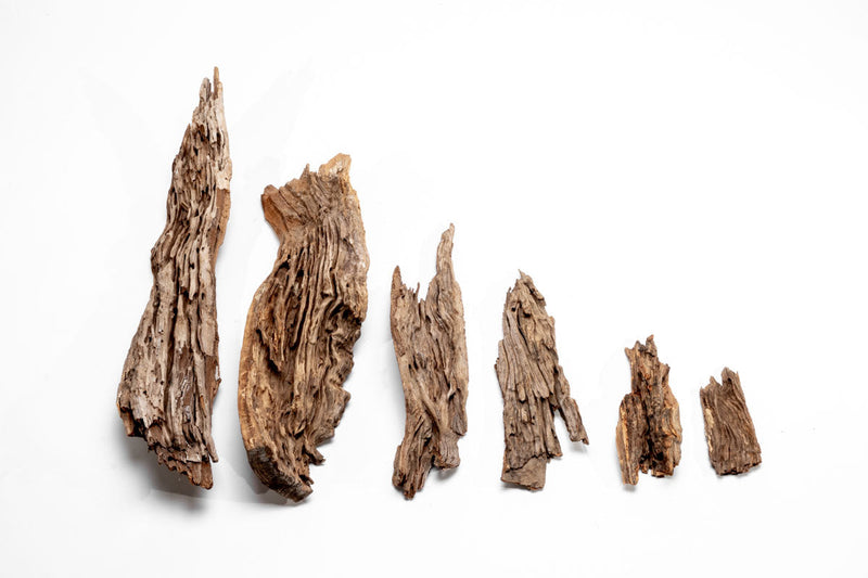 Small piece of natural forest driftwood by UNSBONSAI, showcasing its textured, weathered wood surface and organic shape.