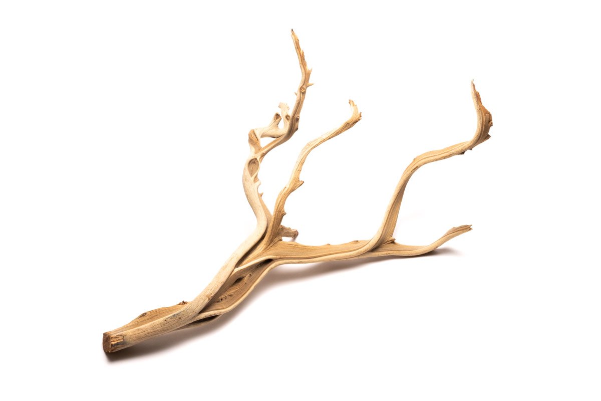 Ghost Wood Aquarium Driftwood for Planted Tank — Buce Plant