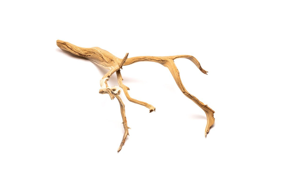 Ghost Wood (Large) 18-26"