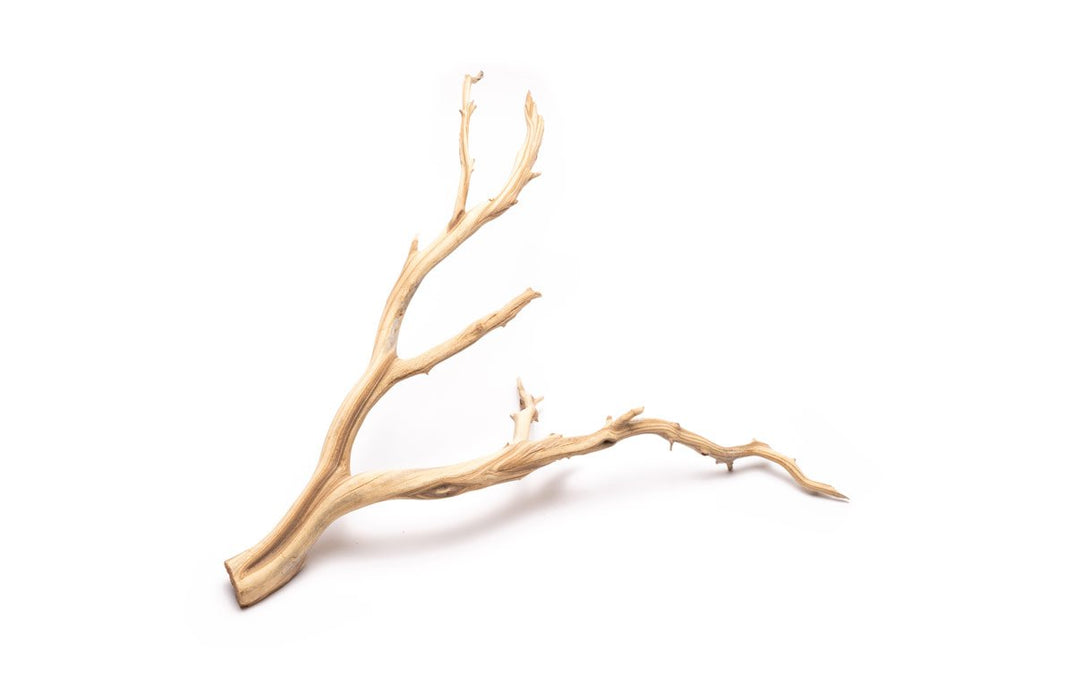 Pangea Ghost Wood, Wood & Branches