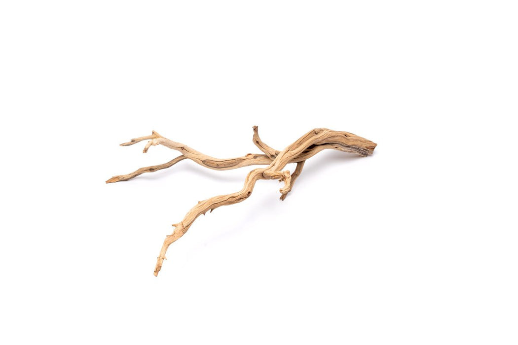 Ghost Wood (Small)