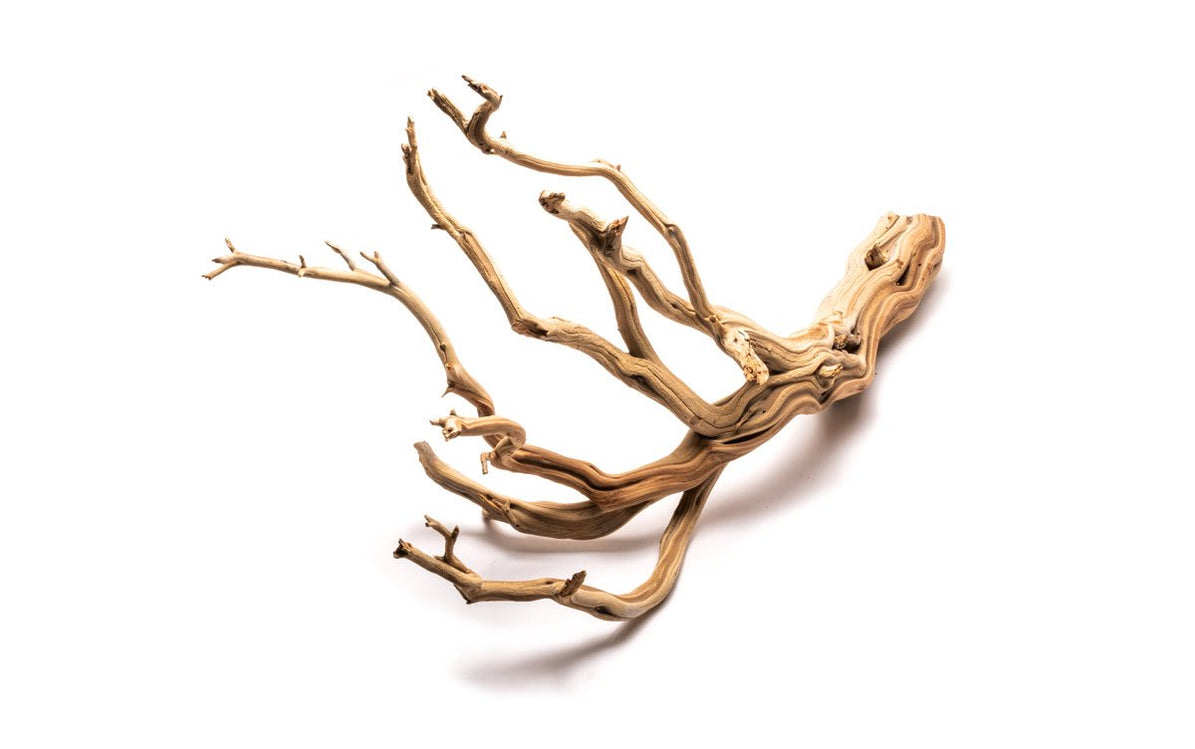 Ghost Wood Aquarium Driftwood for Planted Tank — Buce Plant