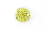 Glossostigma Elatinoides Platinum Aquatic Farmer Tissue Culture Aquatic Plant - Buce Plant
