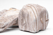 Gobi Desert Stone from UNSHARDSCAPE, a natural textured stone with earthy tones, ideal for landscape and decorative use.