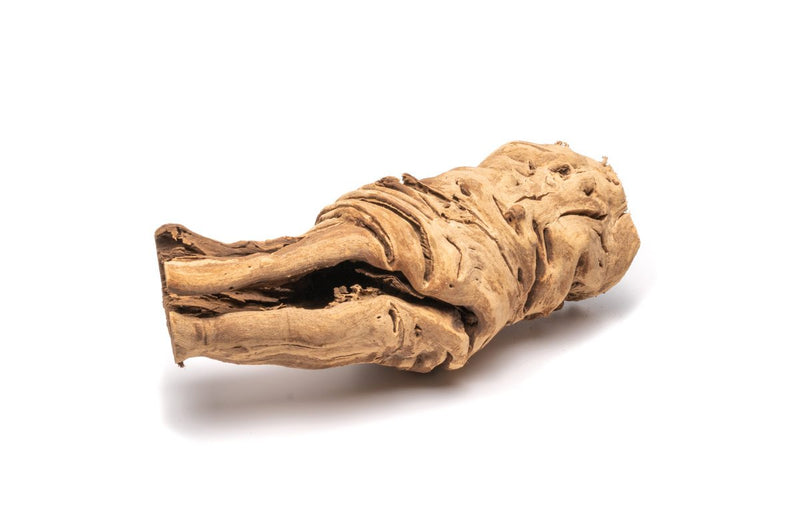 Medium Grape Wood Hollow Log from DH, measuring 8-16 inches, showcasing natural grapevine wood with hollow interior for decorative use