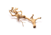 Grape Wood (Large) 20-28"  - Buce Plant