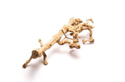 Grape Wood (Large) 20-28"  - Buce Plant