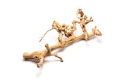 Grape Wood (Large) 20-28"  - Buce Plant