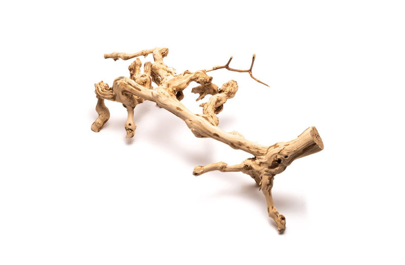 Grape Wood (Large) 20-28"  - Buce Plant
