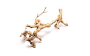 Grape Wood (Large) 20-28"  - Buce Plant