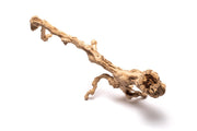 Medium Grape Wood piece from DH, measuring 14-20 inches, with natural textured surface and rich grapevine wood grain.
